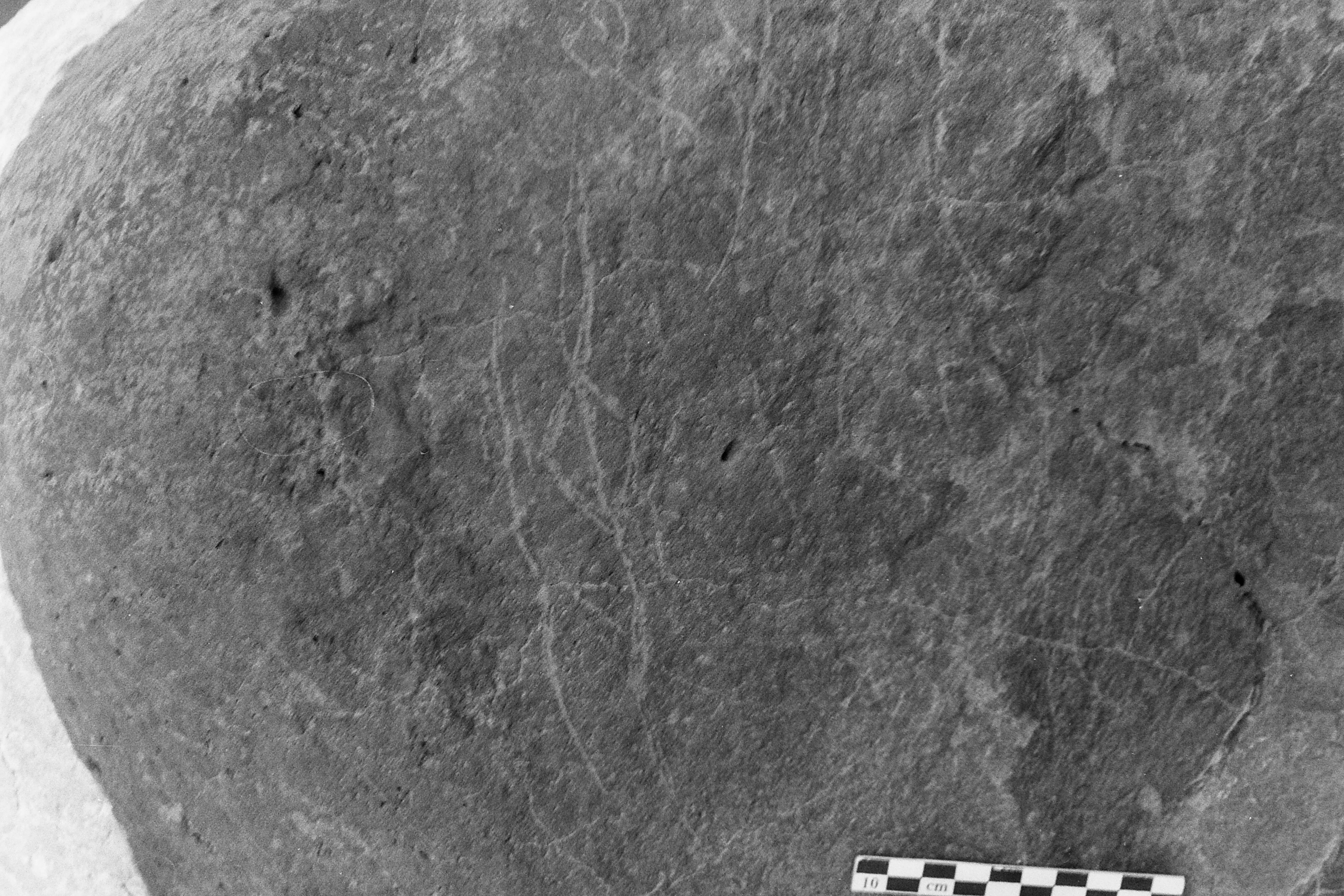 inscription of siglum Is.M 229