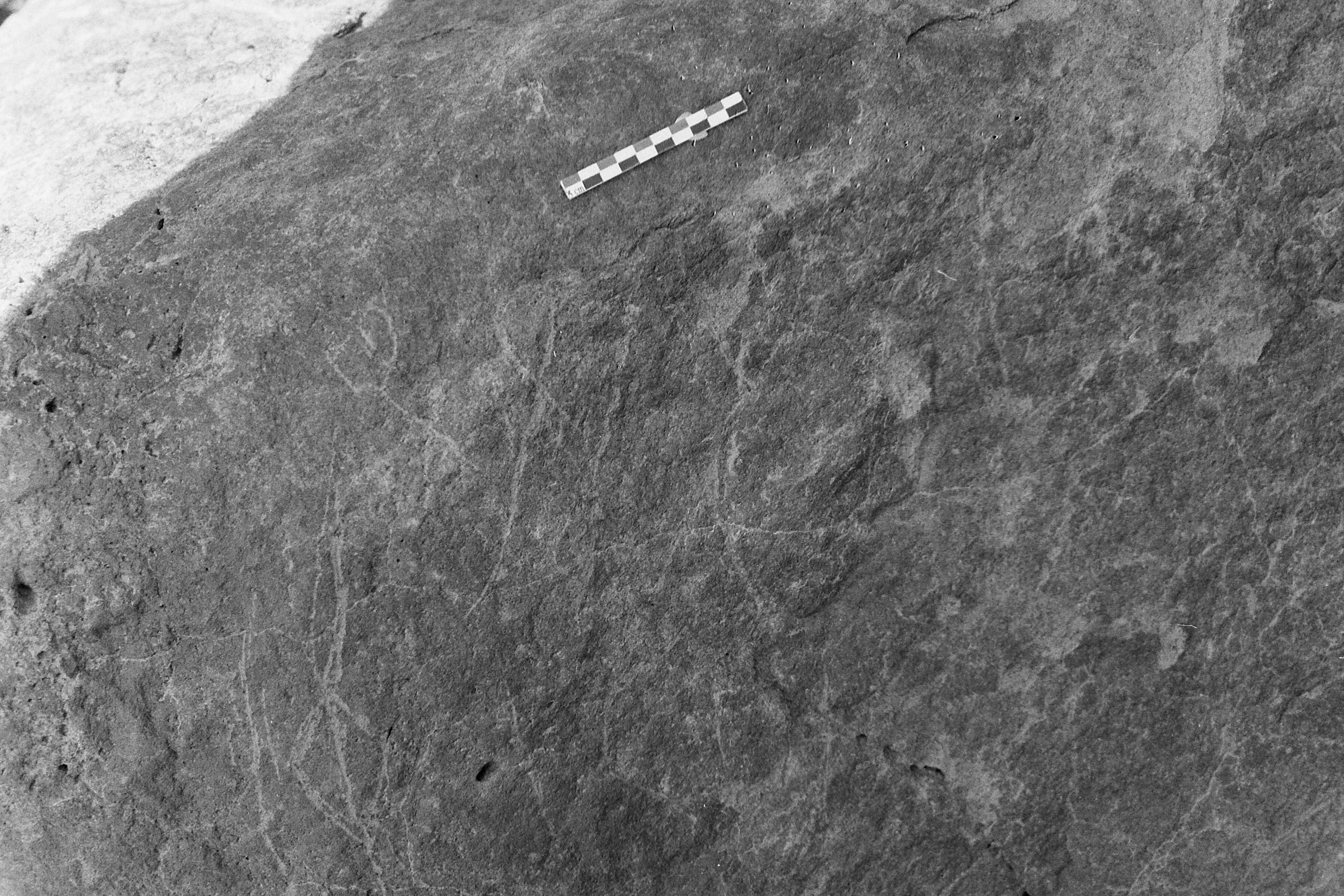 inscription of siglum Is.M 229