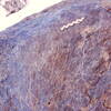 inscription of siglum Is.M 229