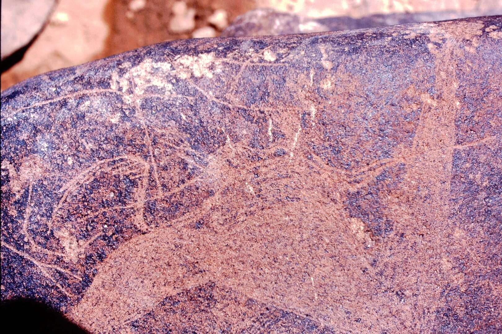 inscription of siglum Is.M 238