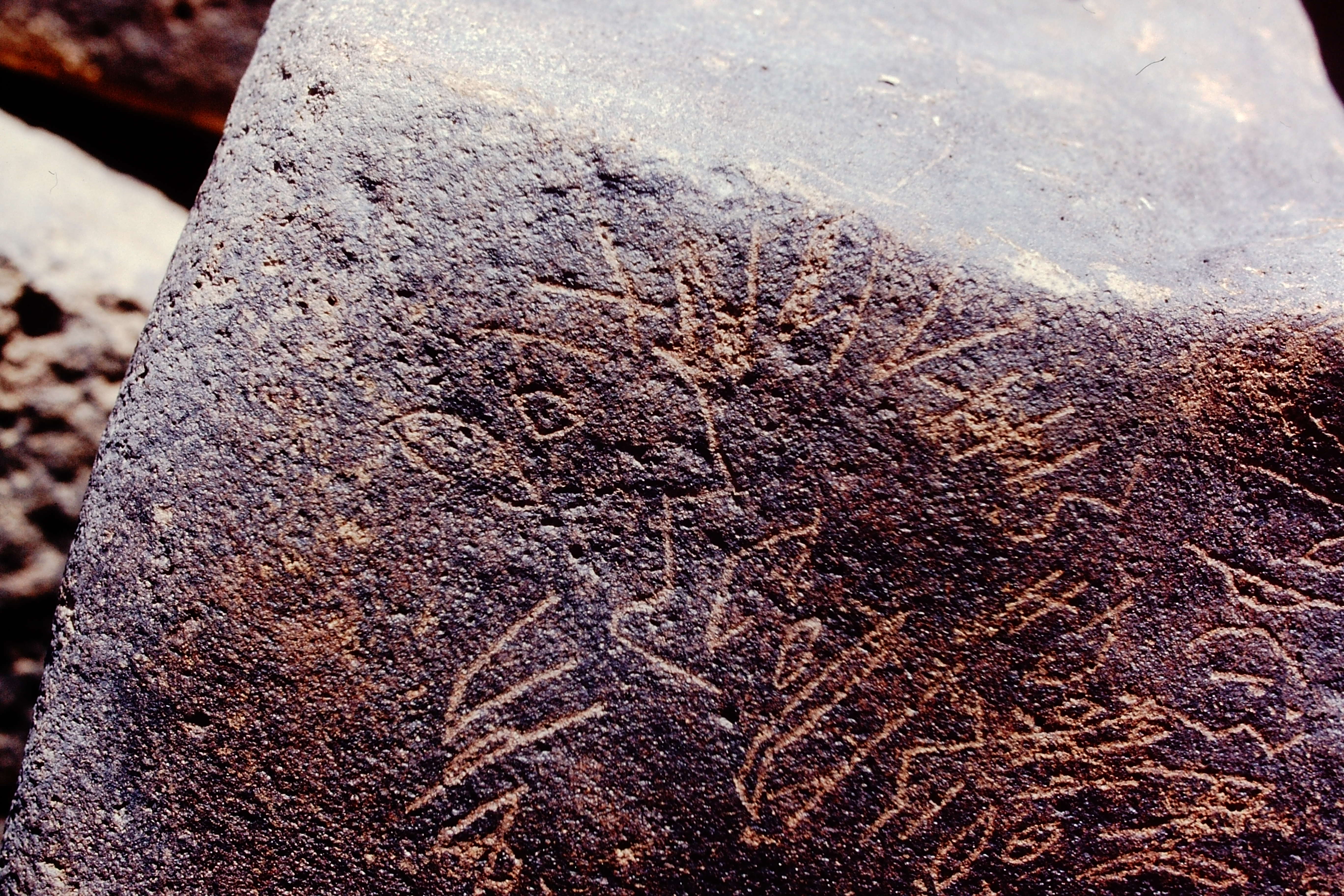 inscription of siglum Is.M 250