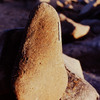 inscription of siglum Is.M 286