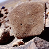 inscription of siglum Is.M 333