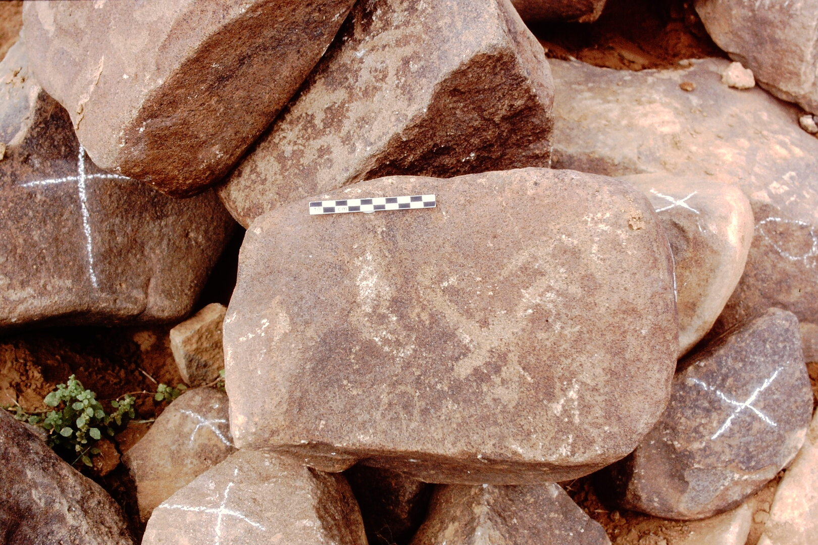inscription of siglum Is.M 345