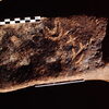 inscription of siglum Is.M 348