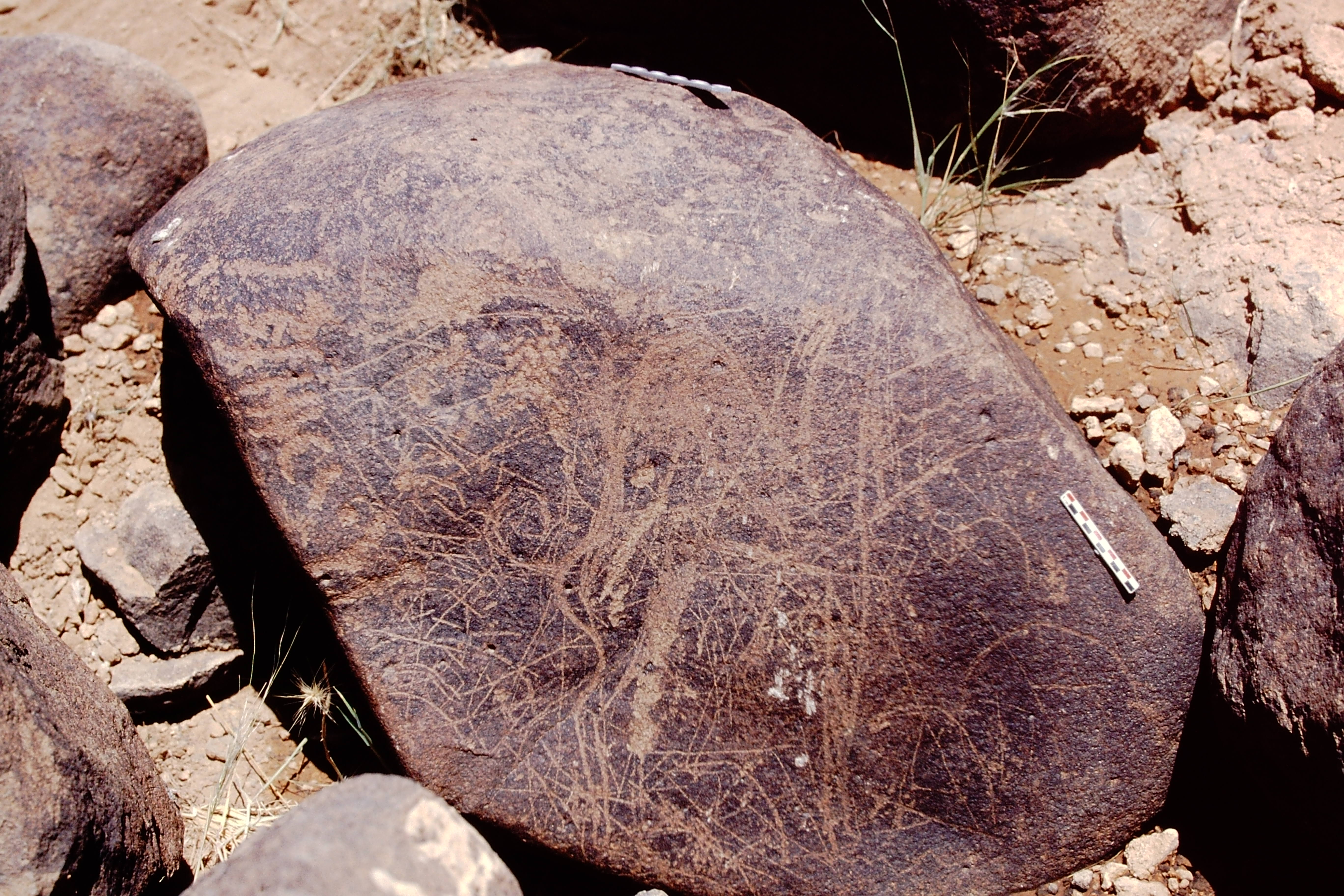 inscription of siglum Is.M 356