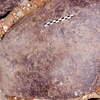 inscription of siglum Is.M 356
