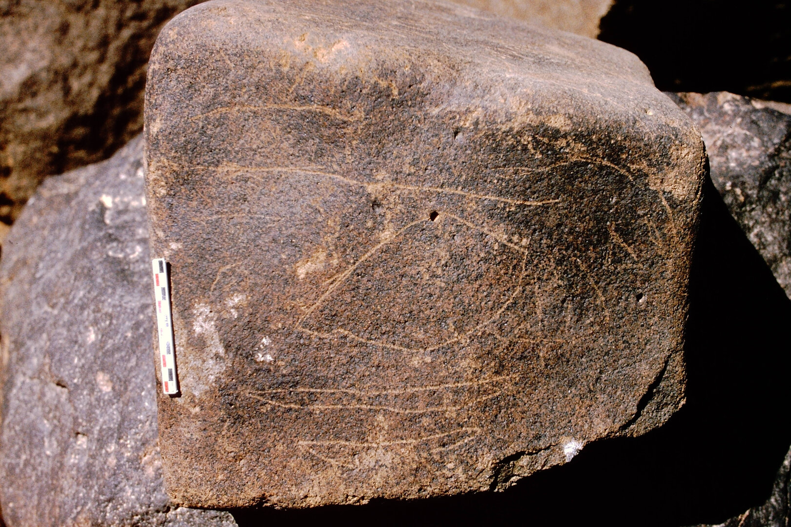inscription of siglum Is.M 366