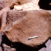 inscription of siglum Is.M 377