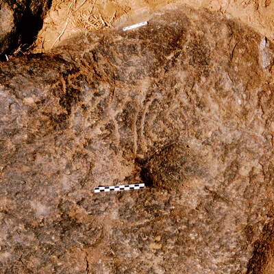 inscription of siglum Is.M 379