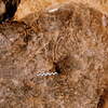 inscription of siglum Is.M 379