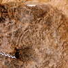 inscription of siglum Is.M 380