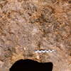 inscription of siglum Is.M 380