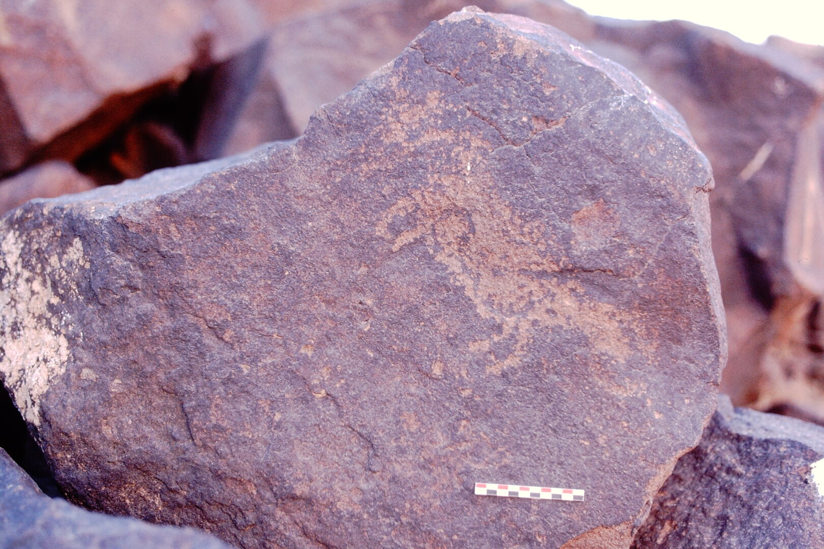 inscription of siglum Is.M 389