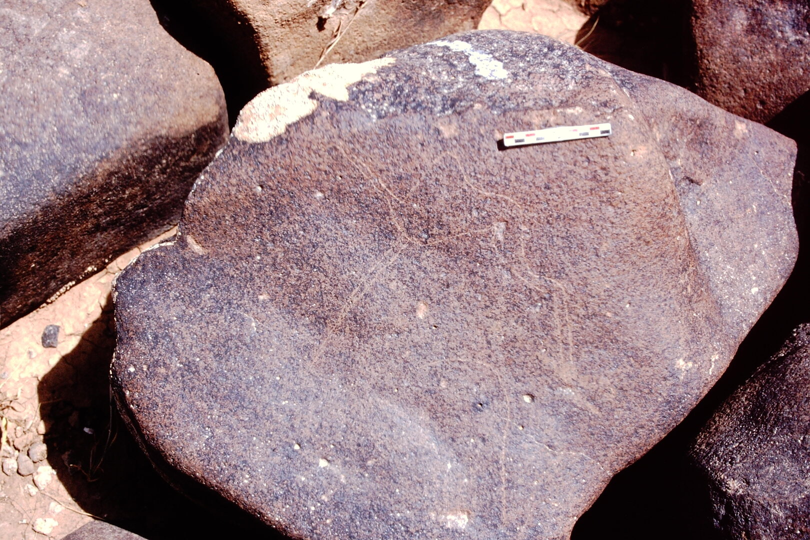inscription of siglum Is.M 389