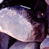 inscription of siglum Is.M 4