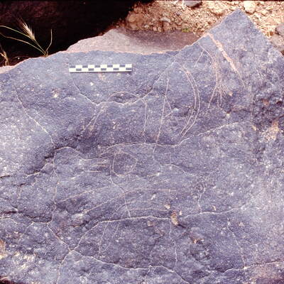 inscription of siglum Is.M 56