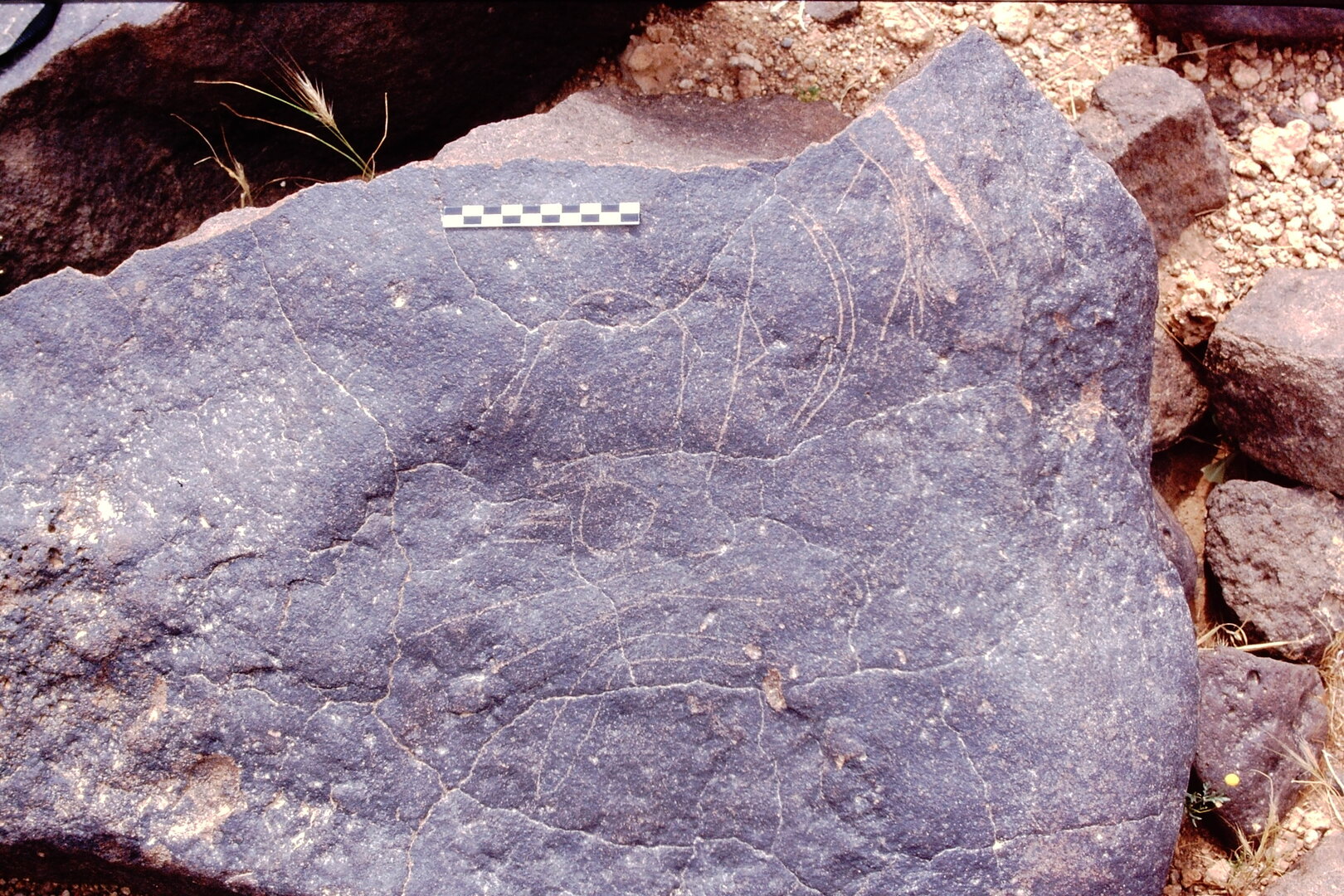 inscription of siglum Is.M 56