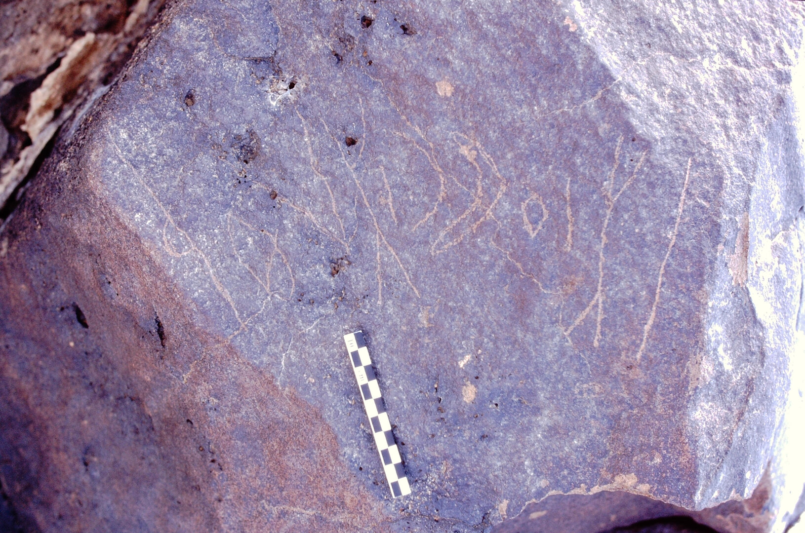 inscription of siglum Is.M 60