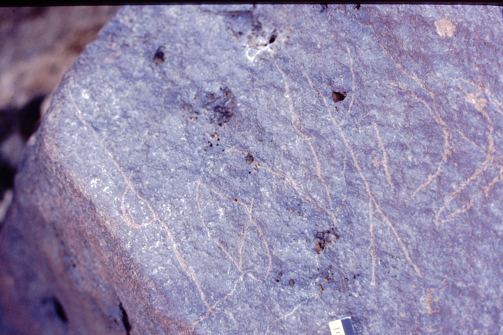 inscription of siglum Is.M 60