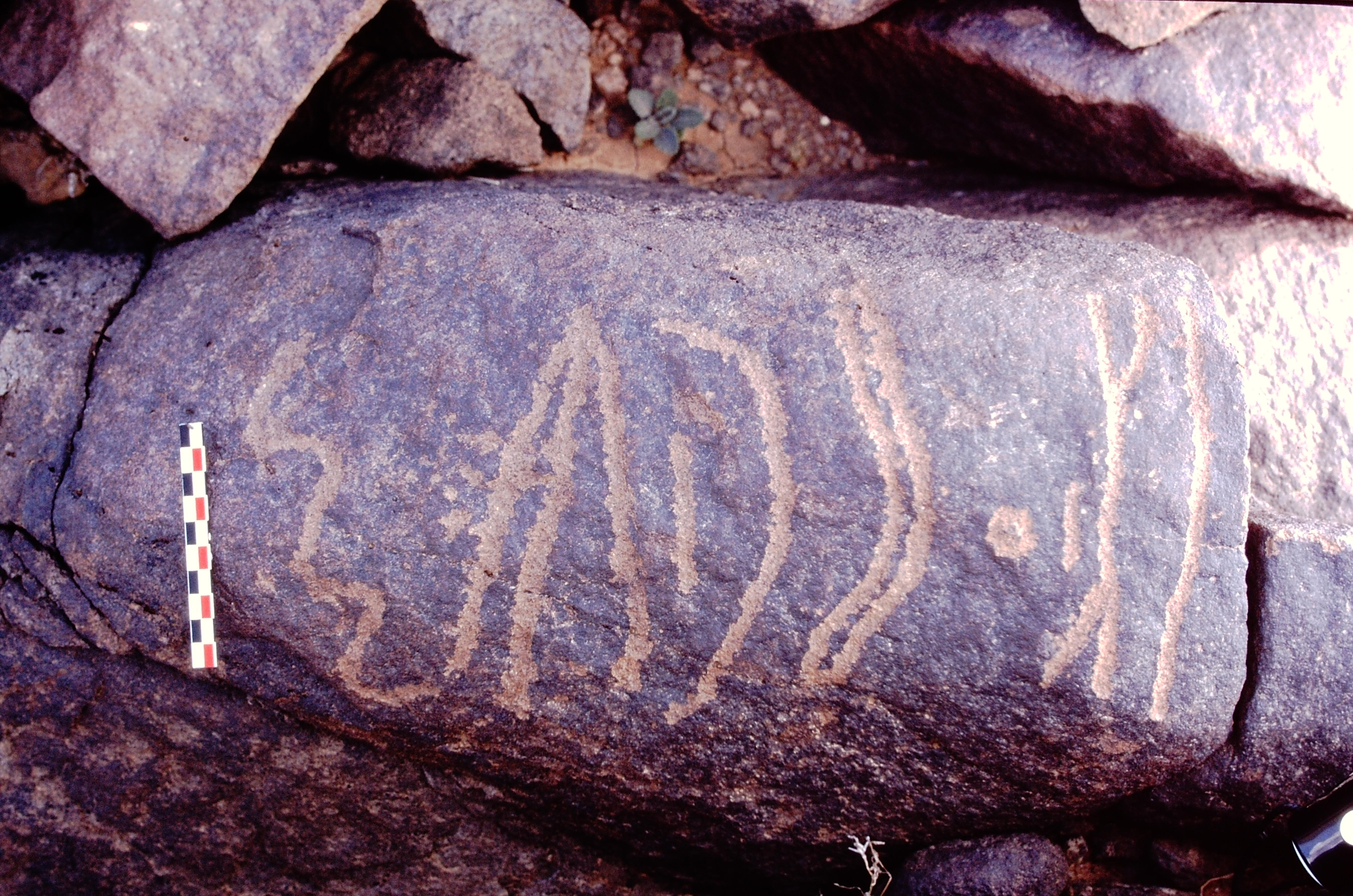inscription of siglum Is.M 61