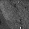 inscription of siglum Is.M 61