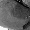 inscription of siglum Is.M 63