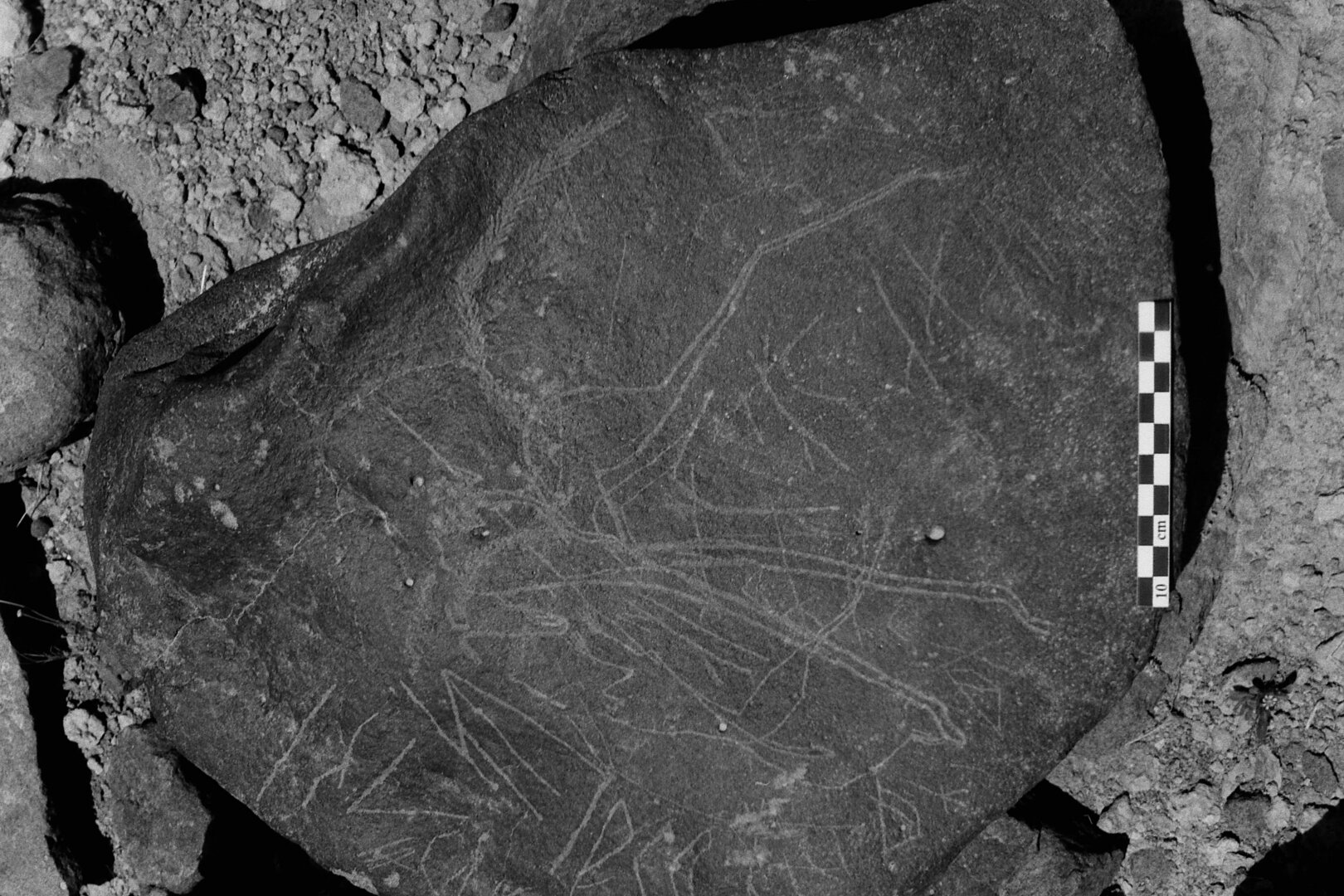 inscription of siglum Is.M 7