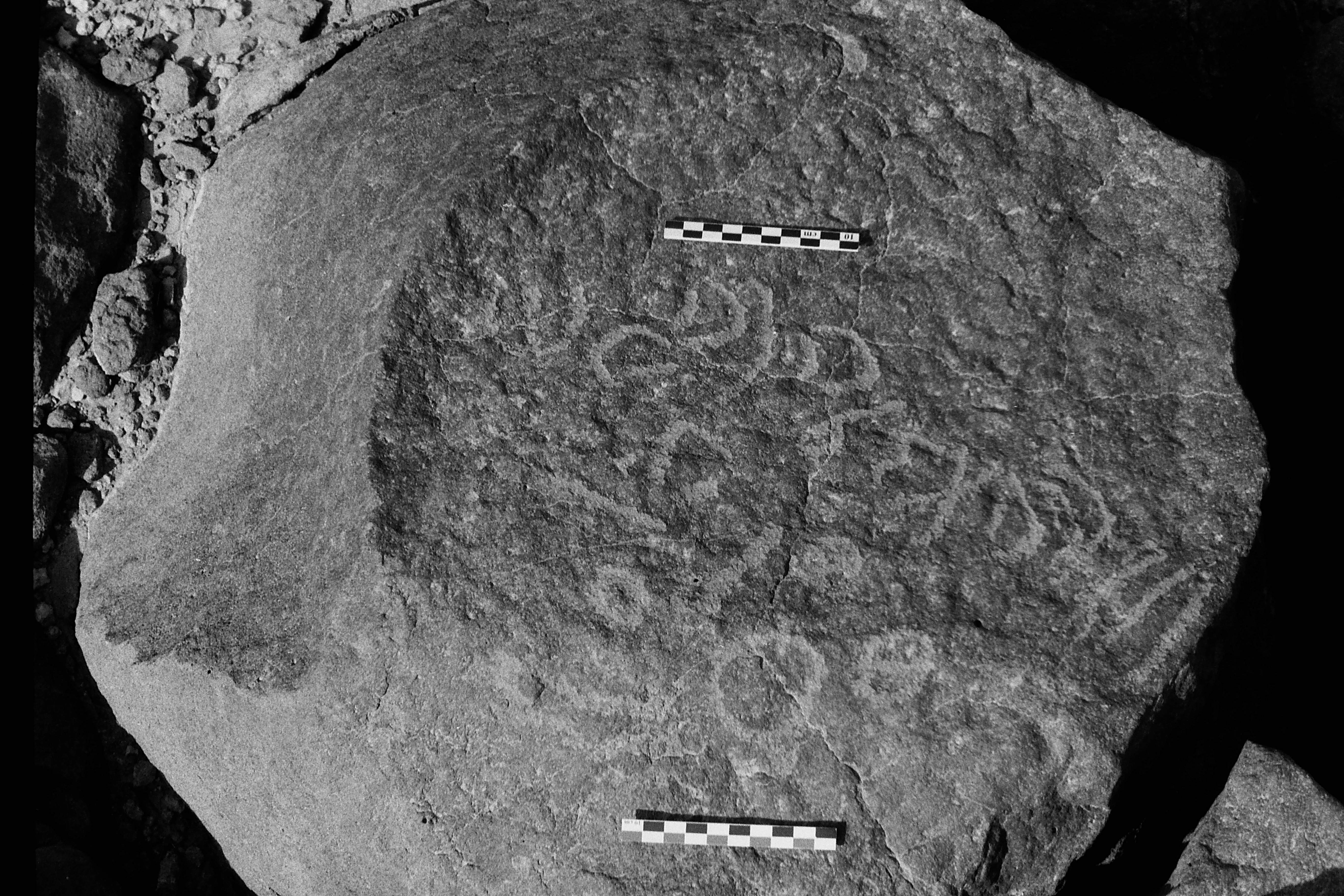 inscription of siglum Is.M 72