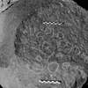 inscription of siglum Is.M 72