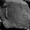 inscription of siglum Is.M 74