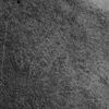 inscription of siglum Is.M 74