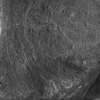 inscription of siglum Is.M 75