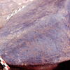 inscription of siglum Is.M 75