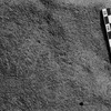 inscription of siglum Is.M 75