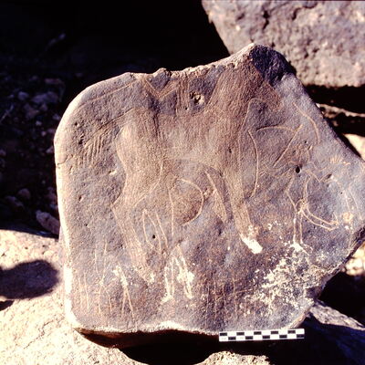 inscription of siglum Is.M 76