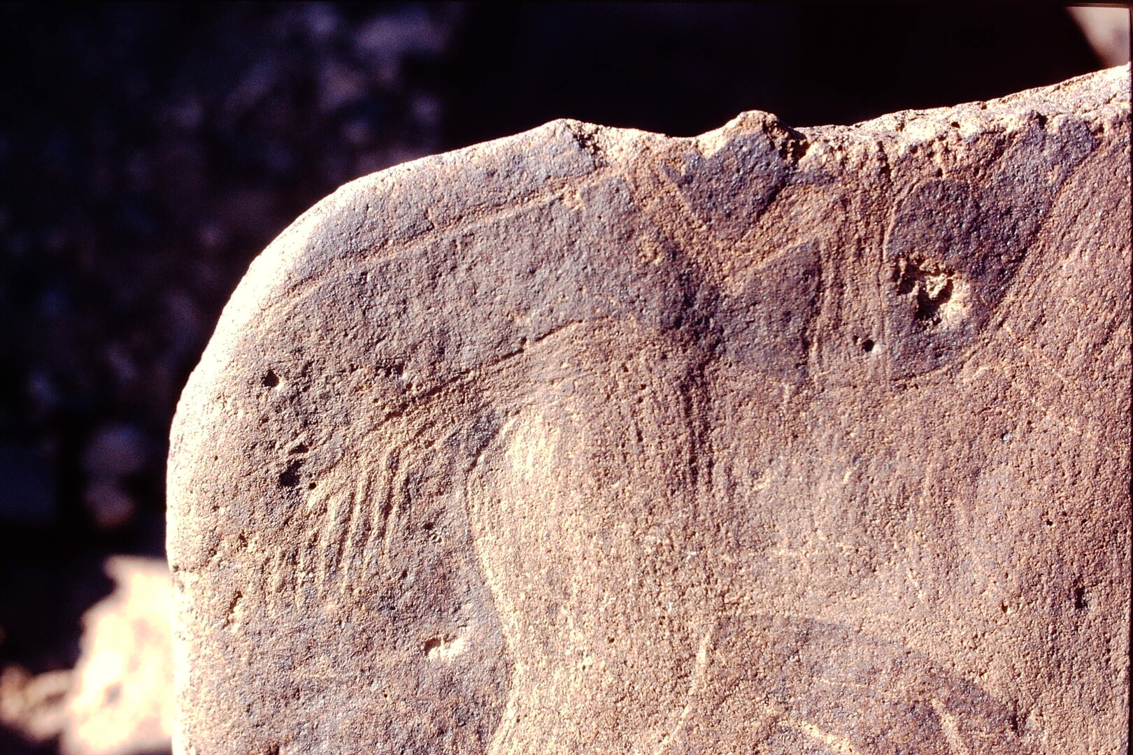 inscription of siglum Is.M 76