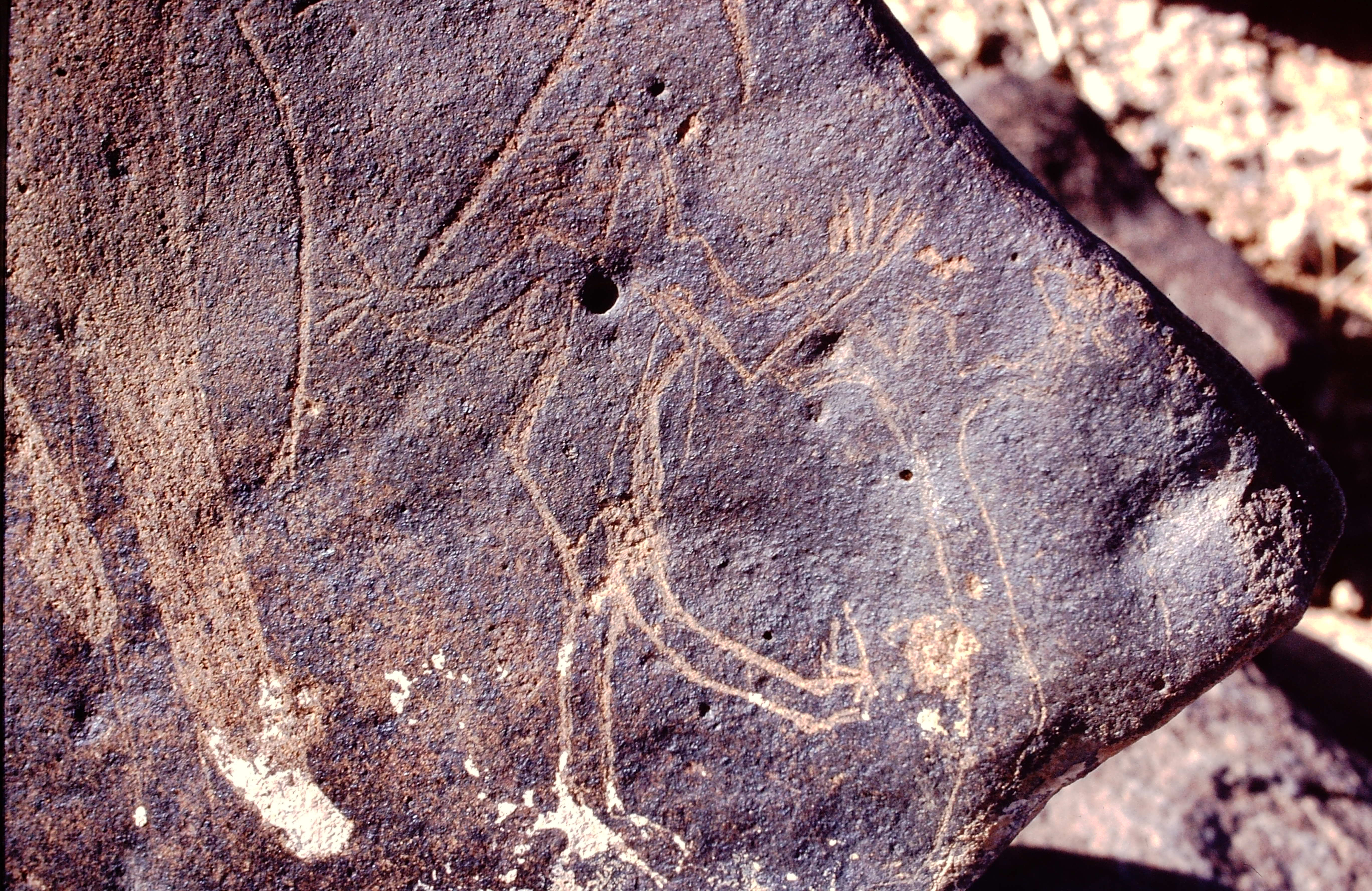inscription of siglum Is.M 76