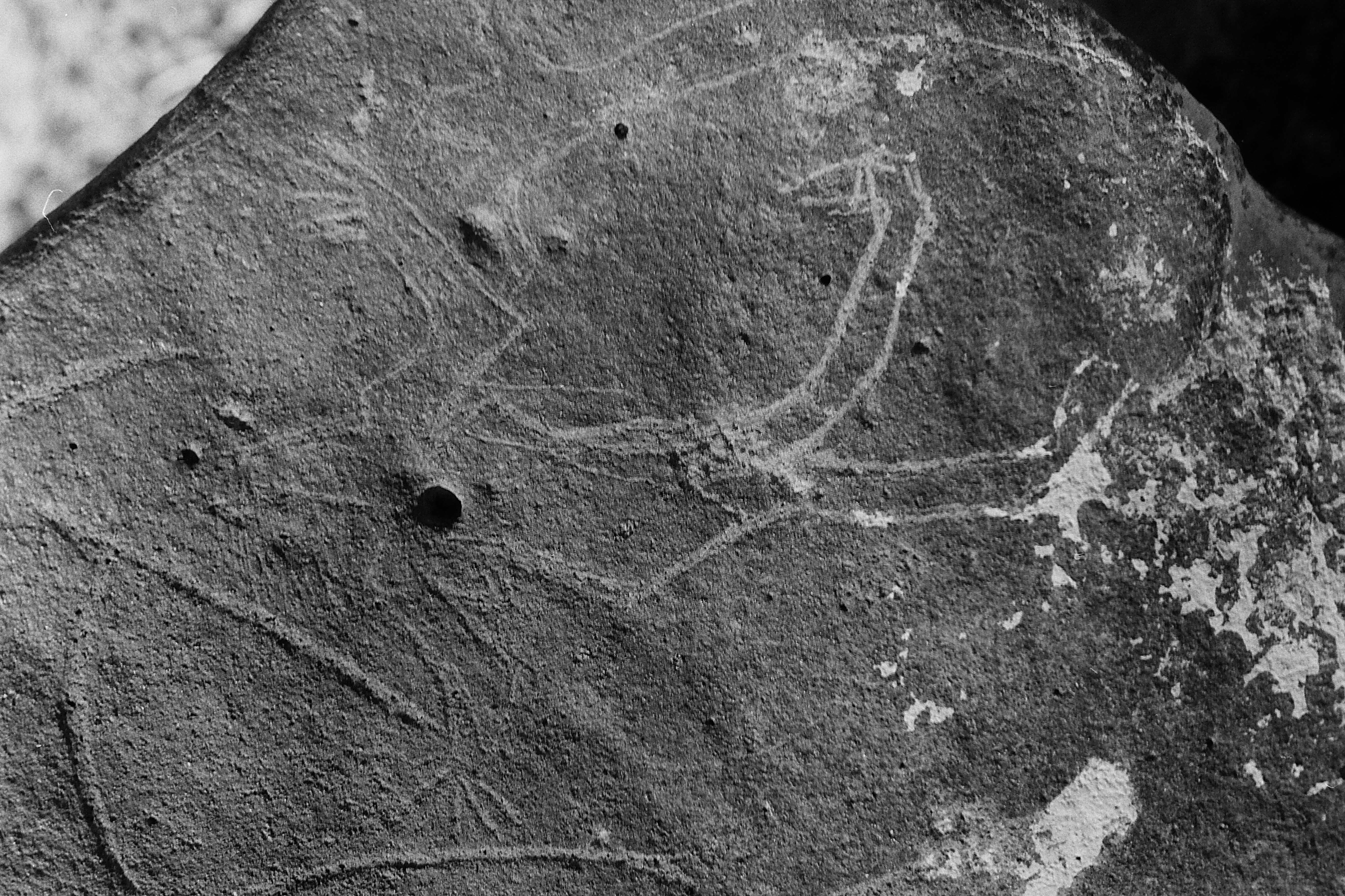 inscription of siglum Is.M 76