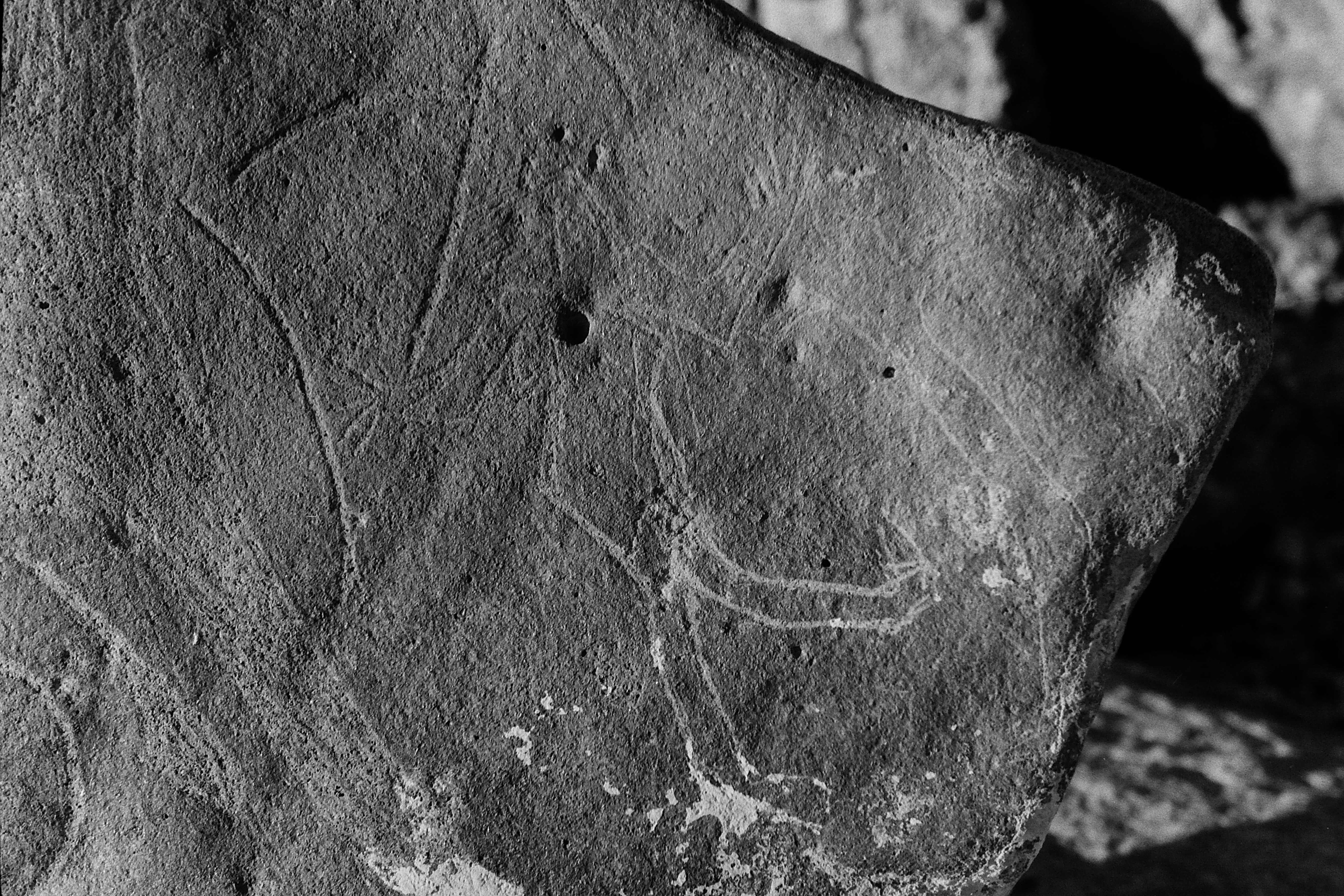 inscription of siglum Is.M 76