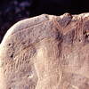 inscription of siglum Is.M 76