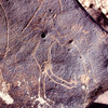 inscription of siglum Is.M 76