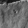 inscription of siglum Is.M 76