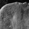 inscription of siglum Is.M 76