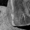 inscription of siglum Is.M 76