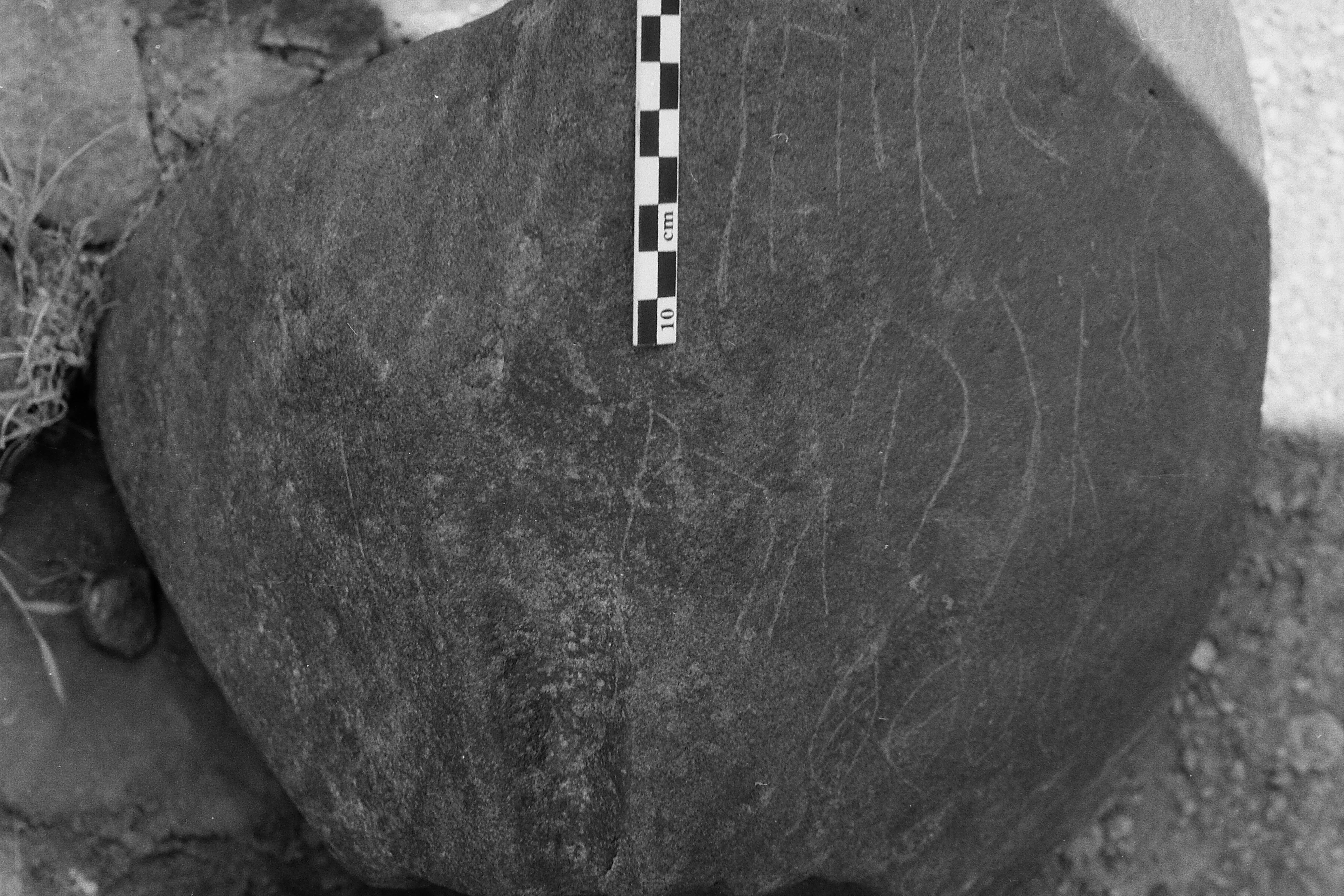 inscription of siglum Is.M 8