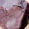 inscription of siglum Is.M 9