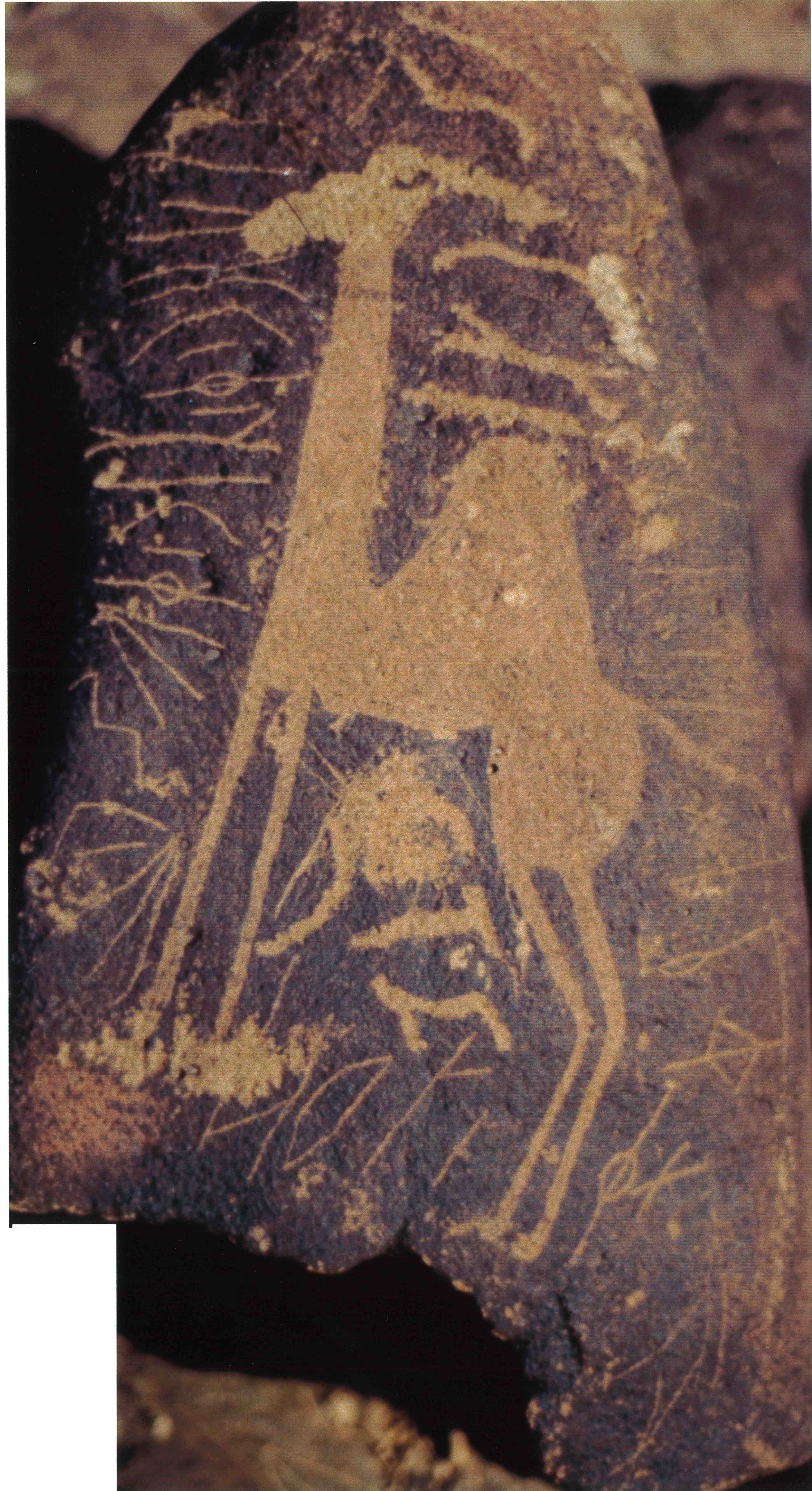 inscription of siglum Is.M 93 See LP 316