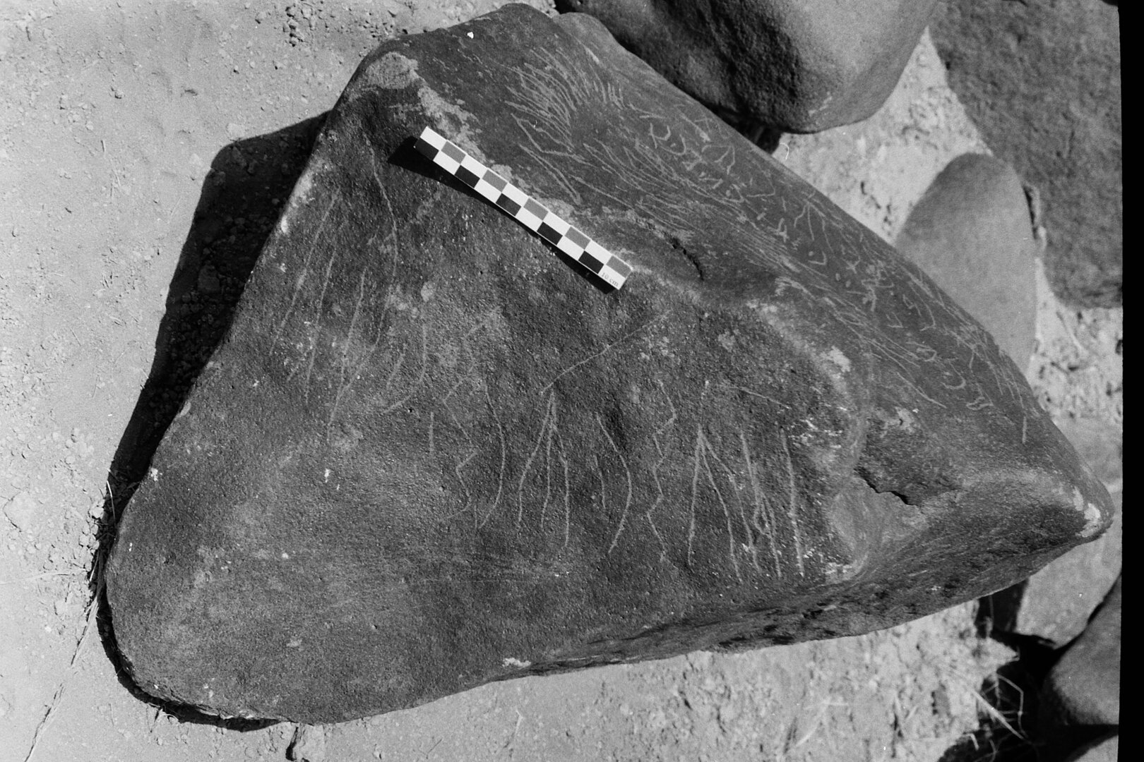 inscription of siglum Is.Mu 100 See LP 352