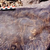 inscription of siglum Is.Mu 102